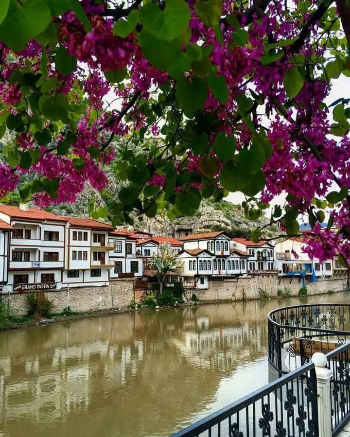 Hotel Sehri̇-Zade Yalisi à Amasya Extérieur photo